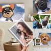 Collage mit personalisierten Hunde-Erinnerungsleinwänden von Hurra Helden, darunter „Kira, für immer der STRAHLENDSTE Stern“ und „Milo, für immer der STRAHLENDSTE Stern“, präsentiert in gemütlicher Wohnumgebung mit echten Hundefotos.